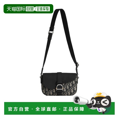 香港直邮Dior 迷你Saddle Heritage单肩包斜挎包 2ADCA662YKV