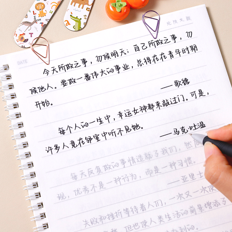 漂亮行楷成人临摹练字帖