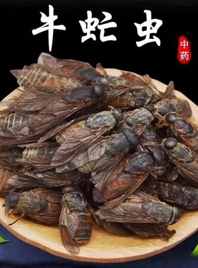 牛虻虫500g中药材【药房发货