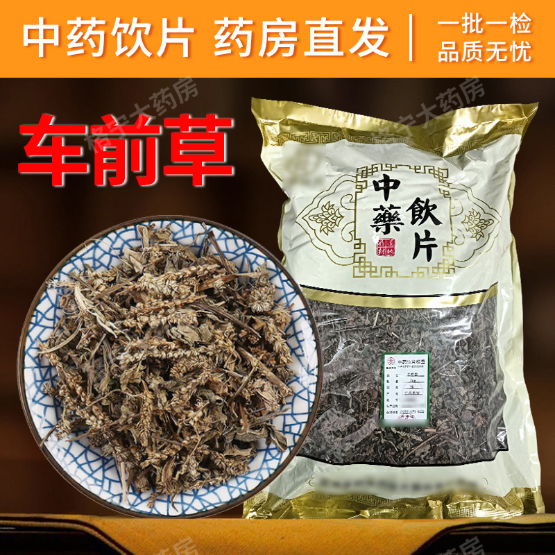 车前草中药饮片干货泡水