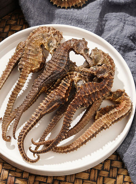 海马干货中药材泡酒煲汤公母配对大海马一公一母中药饮片三斑海马