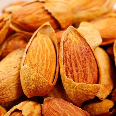 新疆特产纸皮巴旦木每日坚果孕妇