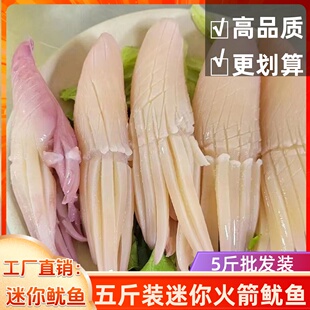 MINI火箭鱿鱼重庆火锅食材配菜新鲜水发鱿鱼鲜活冷冻海鲜烧烤网红