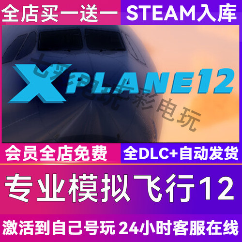专业模拟飞行12steam全球区