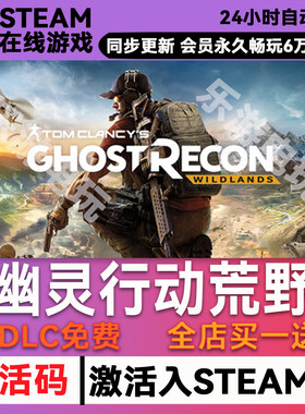 幽灵行动荒野steamCDK兑换码