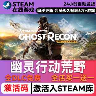 幽灵行动荒野 steam全球区激活码 CDK兑换码入库 豪华版全DLC