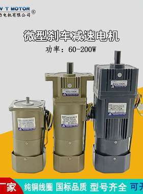 TVT天力电机厂家直供 烤全羊调速电机单相220V  减速电机定制