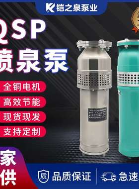 QSP喷泉泵潜水泵水浸式喷泉泵景观园林广场频繁启动音乐喷泉泵