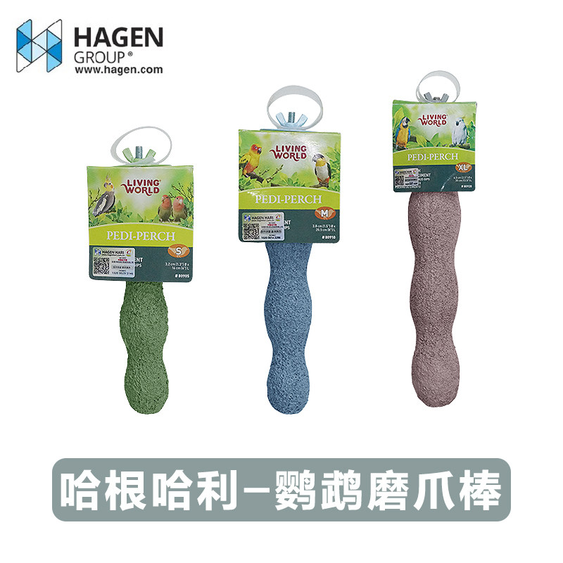 鹦鹉磨爪棍鸟站棍哈根哈利图片