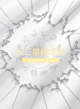十二星座概念纯银2022轻奢小众