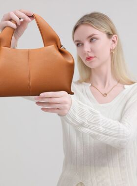 Cloud bag crossbody womens fashion handbag large bag handbag