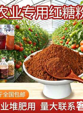 农业种植用红糖生根壮苗水溶肥料