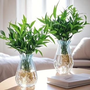 驱蚊竹柏水培绿植客厅室内盆栽办公室工位桌面装饰摆件招财运植物