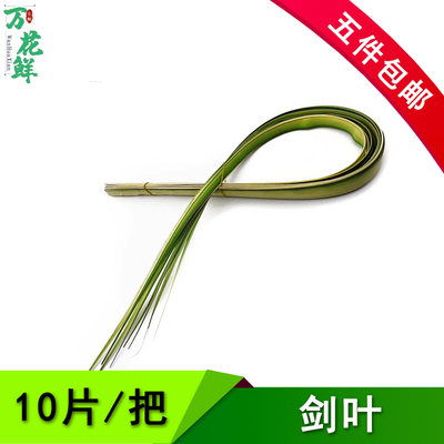 新鲜剑叶10片 酒店日料西餐摆盘装饰 花篮造型花艺插花