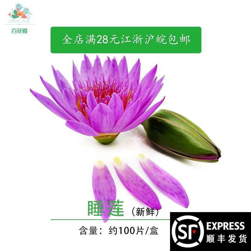 睡莲花瓣新鲜莲花可食用花瓣荷花约100片/盒酒店西餐摆盘装