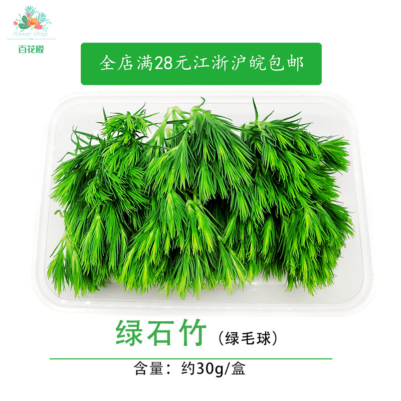 新鲜绿石竹 绿毛球 青青草30g酒店西餐日料冷艺烘焙花草摆盘装饰
