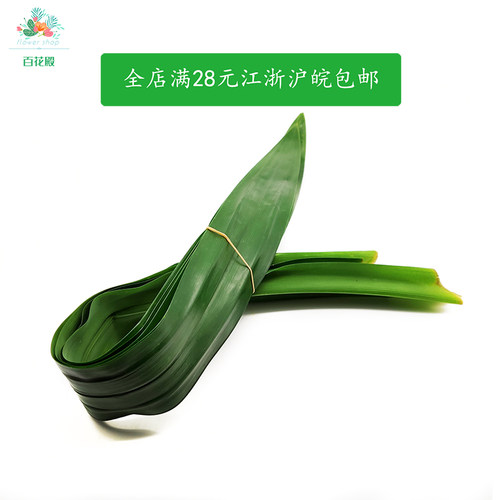 香兰叶新鲜250g 食用 泰国香料 斑斓叶 甲抛叶