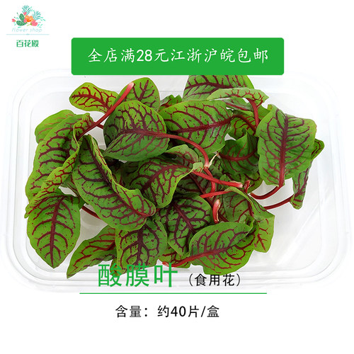 新鲜 红脉酸膜酸模叶酢浆草食用花酒店摆盘装饰红酸模草