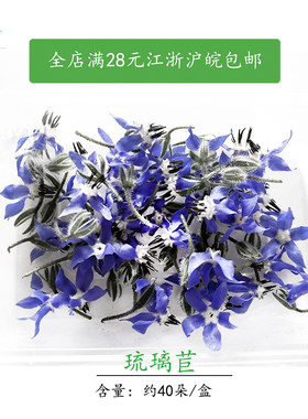 琉璃苣新鲜采摘可食用花鲜花 酒店西餐摆盘装饰蓝星花