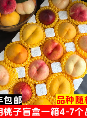 正宗蒙阴桃子4-6种盲盒！好吃甜