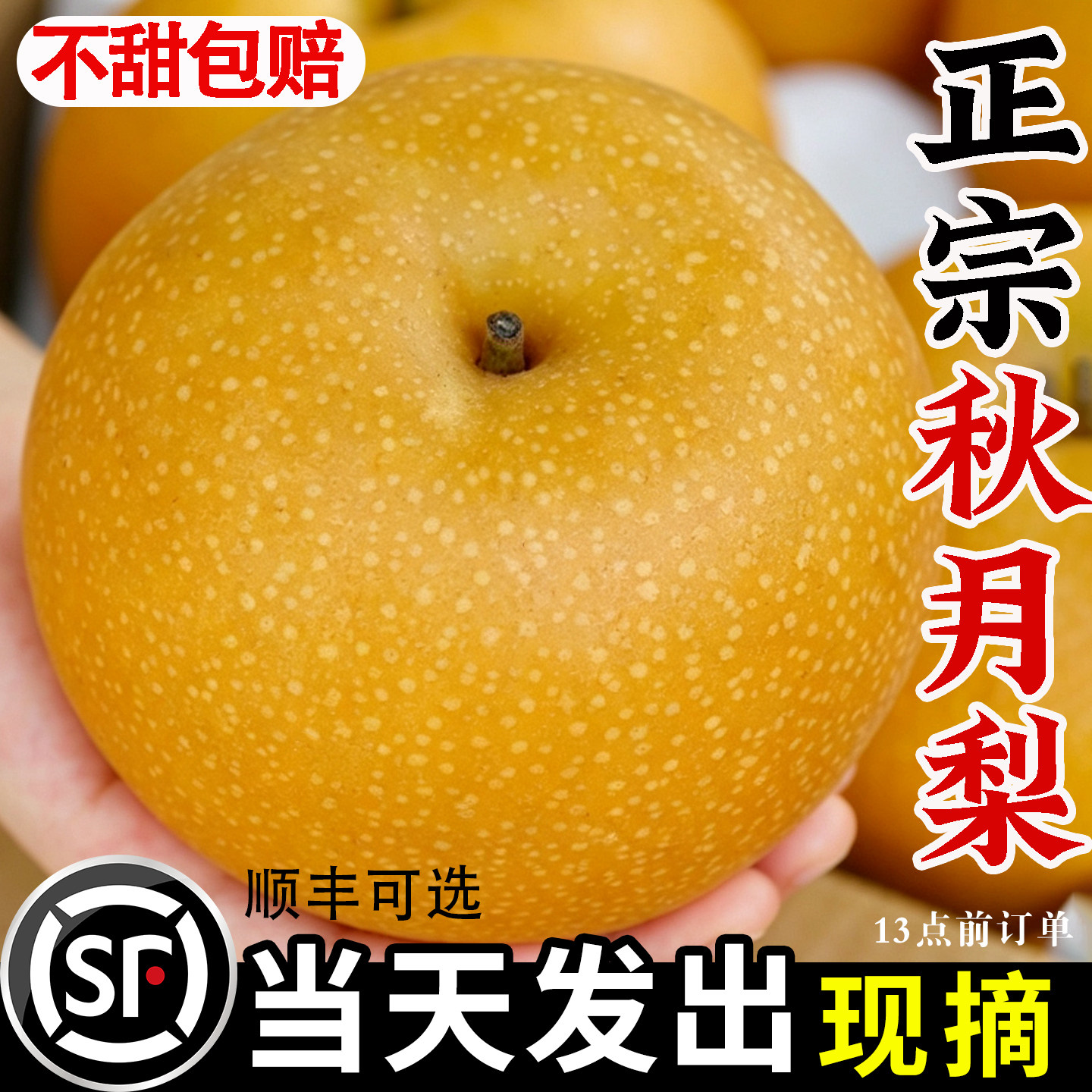 正宗山东秋月梨新鲜水果