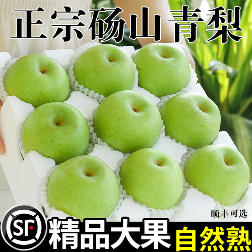 正宗砀山梨青梨酥梨当季水果