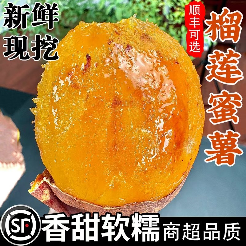 正宗榴莲蜜薯5斤黄心红薯新鲜玛莎莉黄金番薯现挖地瓜蔬菜包邮,水产肉类/新鲜蔬果/熟食,番薯,淘宝优惠券,粉丝福利购,淘宝优惠卷