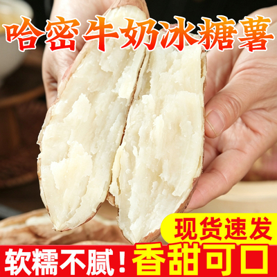 正宗哈密冰糖薯新鲜农家自种沙地现挖白心蜜薯糖心红薯超甜番地瓜