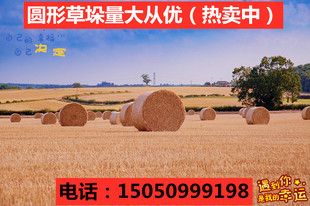 草垛凳子草垛垫草垛凳子圆形草垛干稻草草垛子麦草垛草垛道具摄影