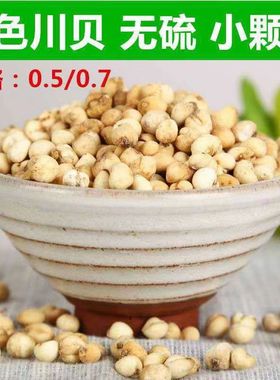 川贝母四川仿野生种植川贝正品特级精选无硫磺颗粒50克可免费磨粉