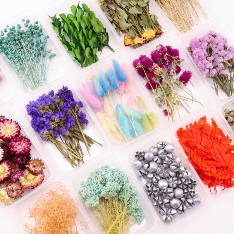 ins风单色干花盒DIY手工材料包盒装永生花装饰摆件手工制作干花包
