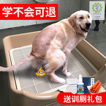 狗狗厕所上拉屎中型大型犬便盆1