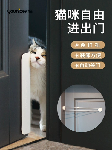 Дверь кошки свободно в дверь и выходе из двери в дверь.