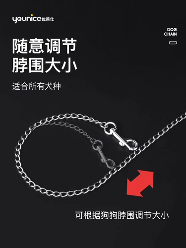 Туяние собаки с собаками из нержавеющей стали, ходячие собаки, чтобы связать крышку шеи собаки Маленький, средний крупный фонд плюшевого коко.