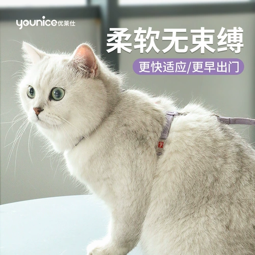 Youlai Cat Traction Ropes Slappery Cat Artifact шрифт шрифт