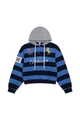 Blue and Black Stripes