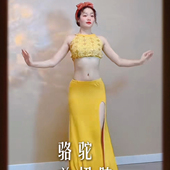 悦梦风璐肚皮舞新款 演出服班服性感气质练功服显瘦初学仙女 套装