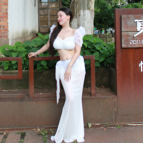 悦梦风璐肚皮舞新款套装演出服班服性感气质练功服显瘦初学仙女