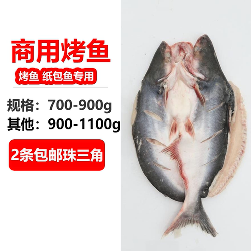 开背开背巴沙鱼凌波鱼湄公鱼