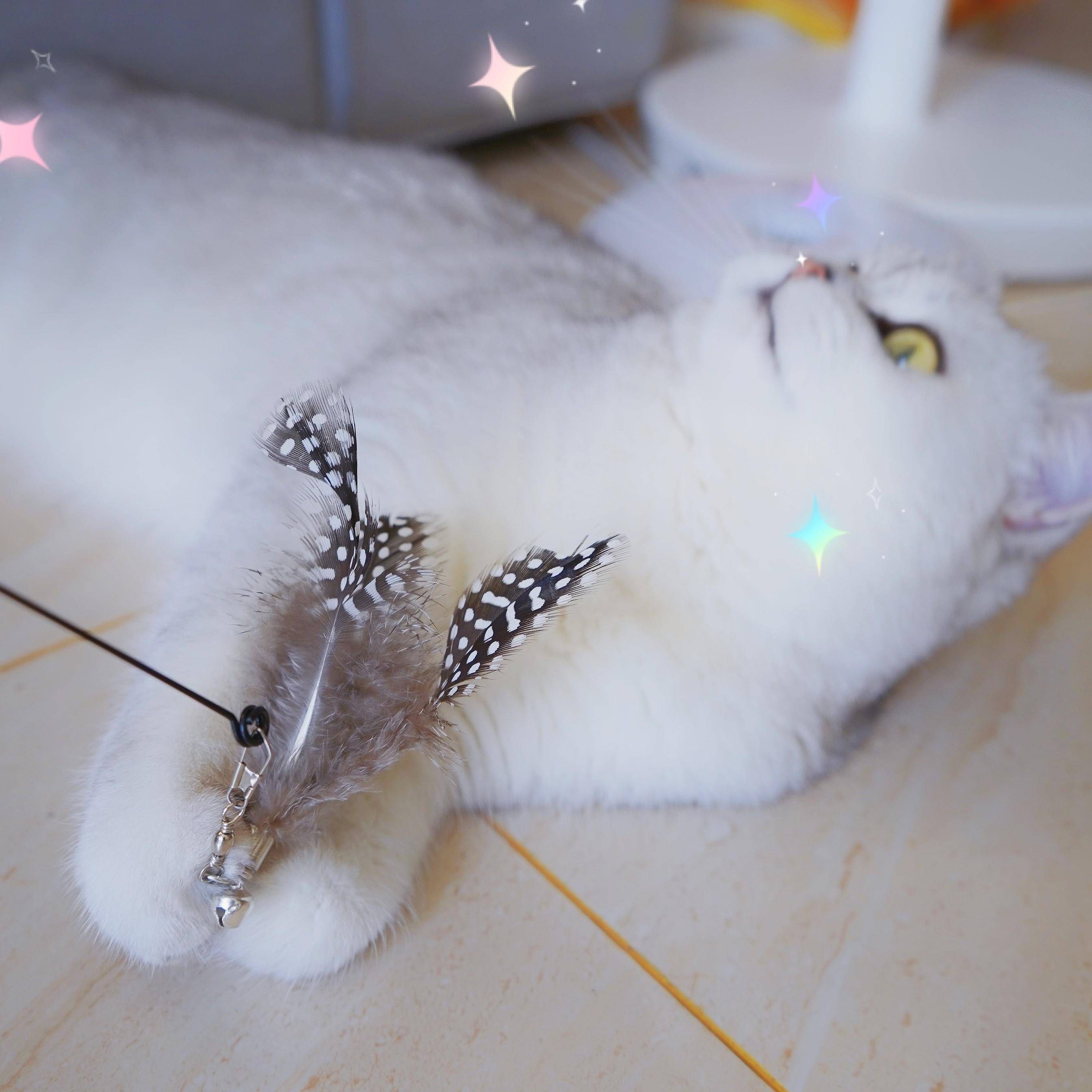 1pcs Mix Pet Toy nip Mice s Toys Plush Mouse for  1