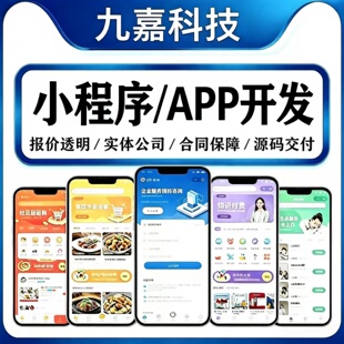 APP小程序开发定制教育医疗餐饮商城家政交友物联网管理系统开发