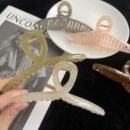 莫兰迪果冻色抓夹抓后脑勺发卡鲨鱼夹女金典百搭发饰韩国复古