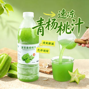 饮力健速冻青杨桃汁960新鲜榨取原浆果汁水果茶奶茶店商用原料