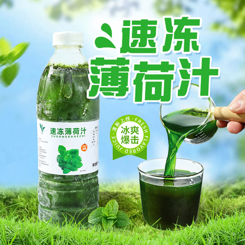饮力健冷冻薄荷汁960g