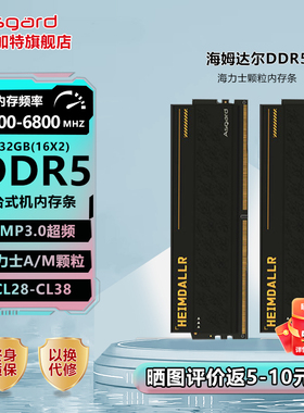 阿斯加特海姆达尔&TUF联名32g(16gx2)ddr5 6000 6400台式机内存条