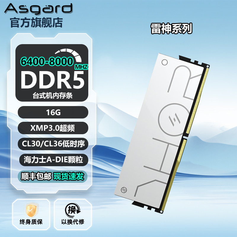 阿斯加特雷神索尔 16g ddr5 6000/8000台式机内存条单条海力士A