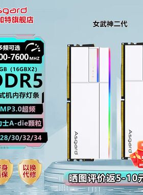 阿斯加特女武神二代 32g(16gx2) ddr5 6400 6800 台式机内存条
