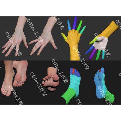 zbrush女性2种手部手掌3种脚部脚丫3D模型Zb雕刻带细分材质可打印