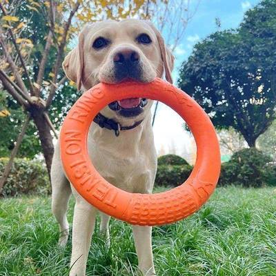 Dog Toy Training Ring Puller Puppy Flying Disk Chewing Toys