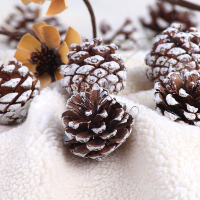 Christmas Decoration Props White Edge Natural Pine Cones Chr